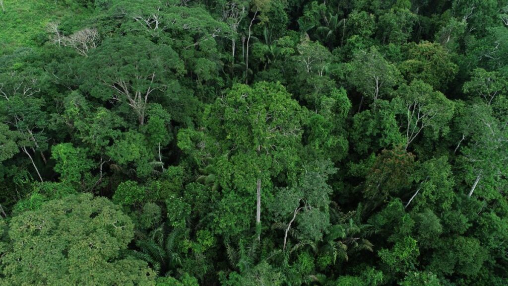 Acre Apresenta Plataforma Inédita na Semana do Clima em Nova York para Prever Impactos Climáticos Imagem do artigo