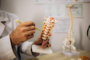 Dia Mundial da Osteoporose: Cuidados Essenciais para a Saúde dos Ossos Imagem do artigo