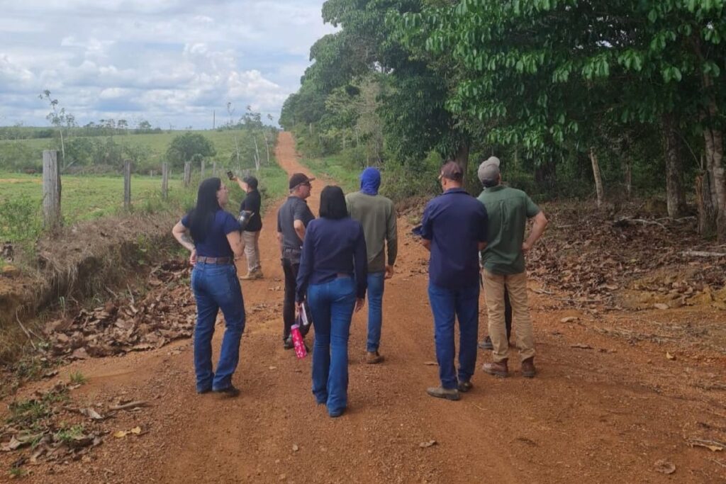 Iniciativa Inovadora Promove Agricultura Regenerativa na Amazônia para Reduzir Emissões de Carbono Imagem do artigo