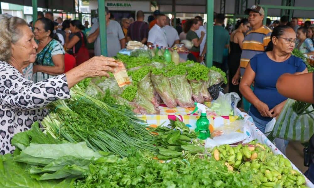 Acre: R$ 4 Milhões Foram Liberados para a Compra Direta de Alimentos dos Produtores Locais Acre: R$ 4 Milhões Foram Liberados para a Compra Direta de Alimentos dos Produtores Locais
