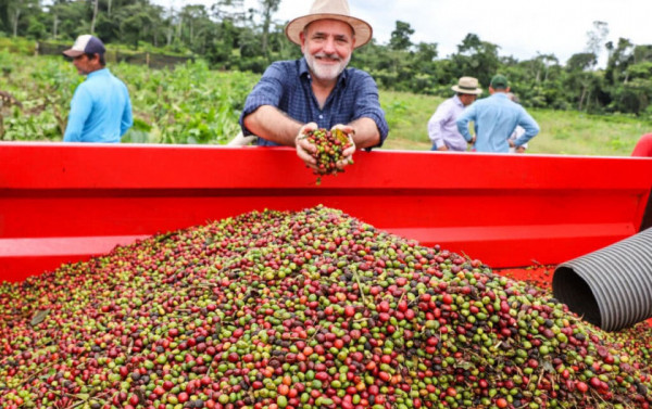 Café no Acre: Safra Pode Ultrapassar 187 Mil Toneladas em 2024 Imagem do artigo