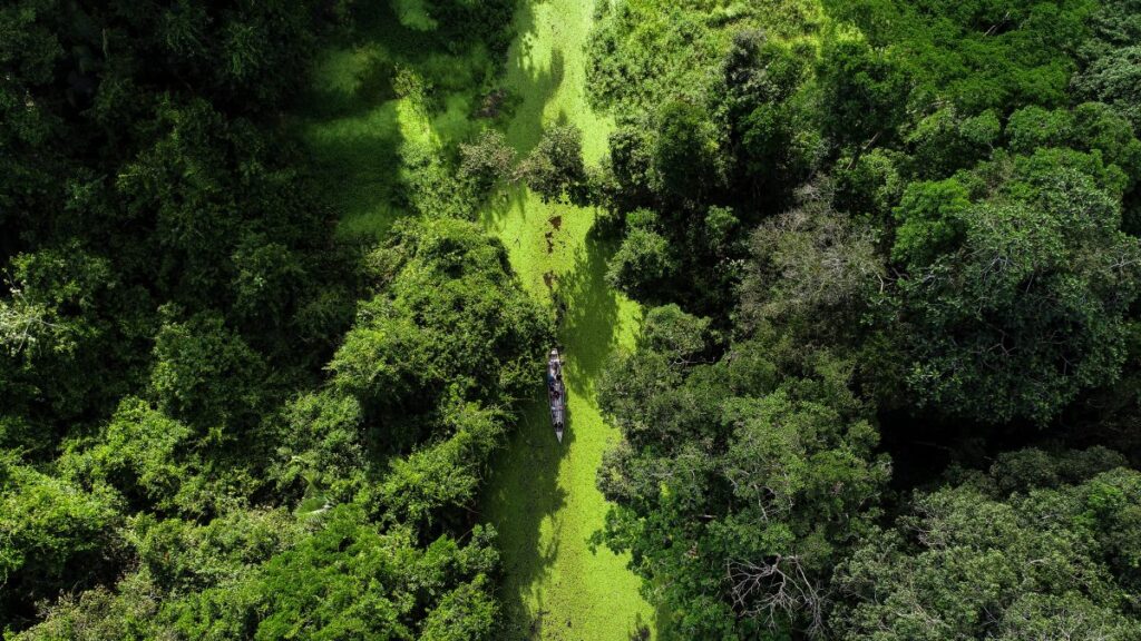 Acre Avança em Credenciamento Internacional para Créditos de Carbono Acre Avança em Credenciamento Internacional para Créditos de Carbono