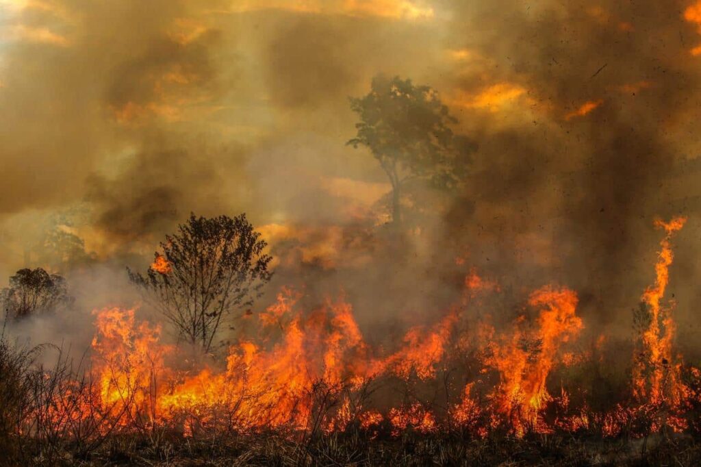 Acre Registra Queda de 89% em Queimadas e Se Destaca como o Estado com Menos Focos em 2026