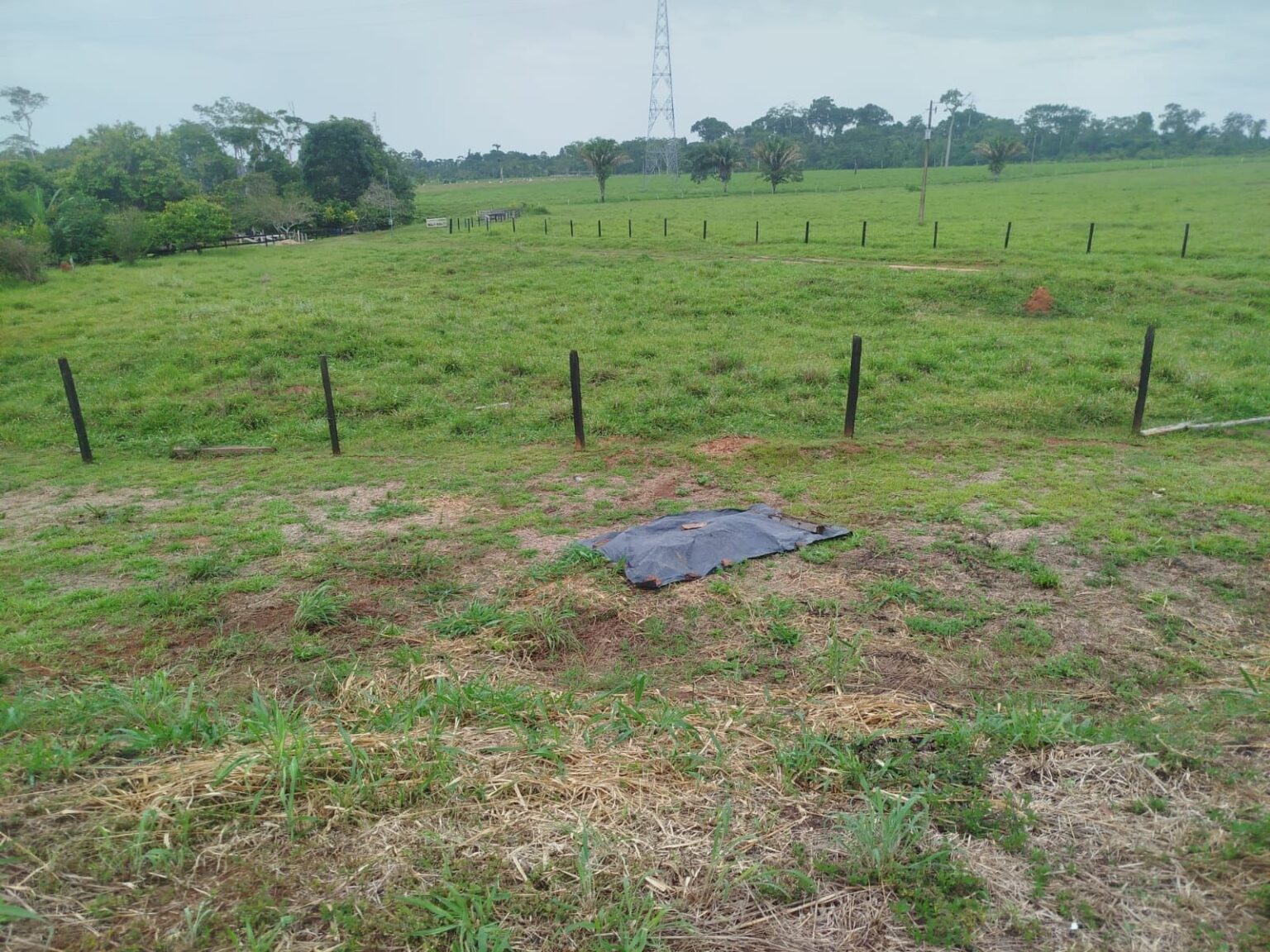 Mistério no Acre: Homem é Encontrado Morto à Margem da BR-317