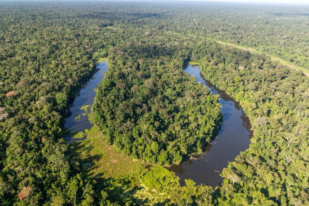 Acre avança para verificação internacional: um marco na excelência ambiental