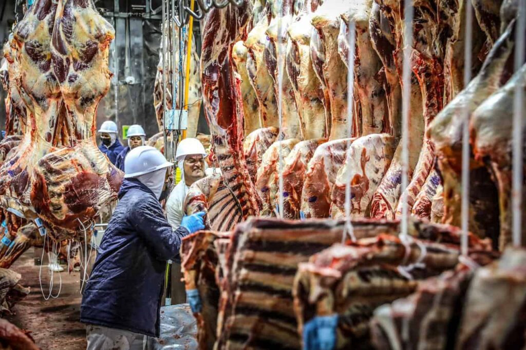 Exportações do Acre Disparam 11,7% em Janeiro e Brasileia Lidera Ranking Estadual