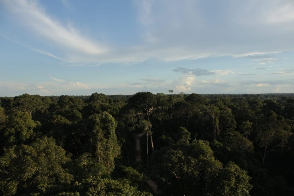 Justiça Confirma Medidas para Proteção da Floresta do Antimary no Acre