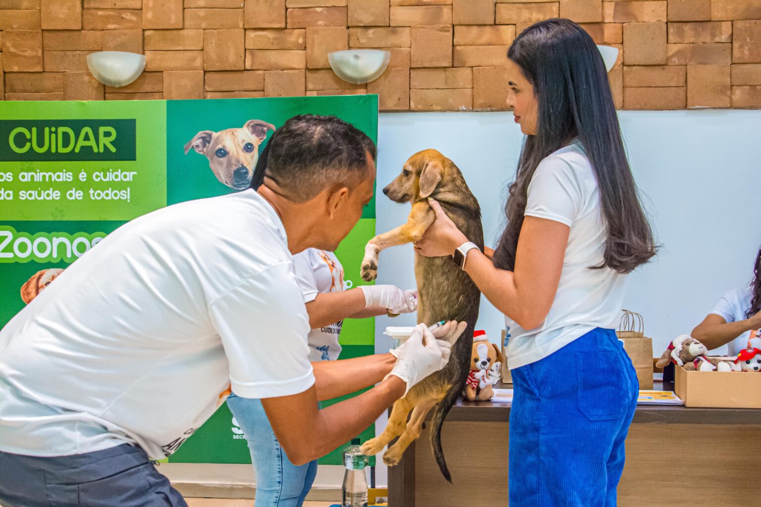 Vacinação Antirrábica para Cães e Gatos em Rio Branco: Ação Gratuita Neste Fim de Semana
