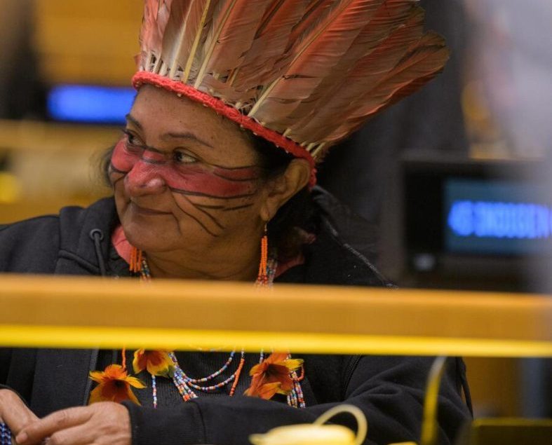 Lucila Nawa e a Luta Indígena: Sem Terra, Sem Saúde – ONU Lucila Nawa e a Luta Indígena: Sem Terra, Sem Saúde - ONU