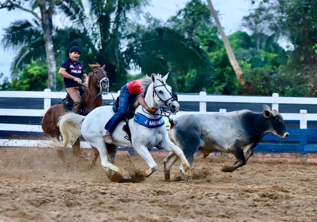 Vaquejada Agita Parque de Exposição em Rio Branco com Disputas e Prêmios