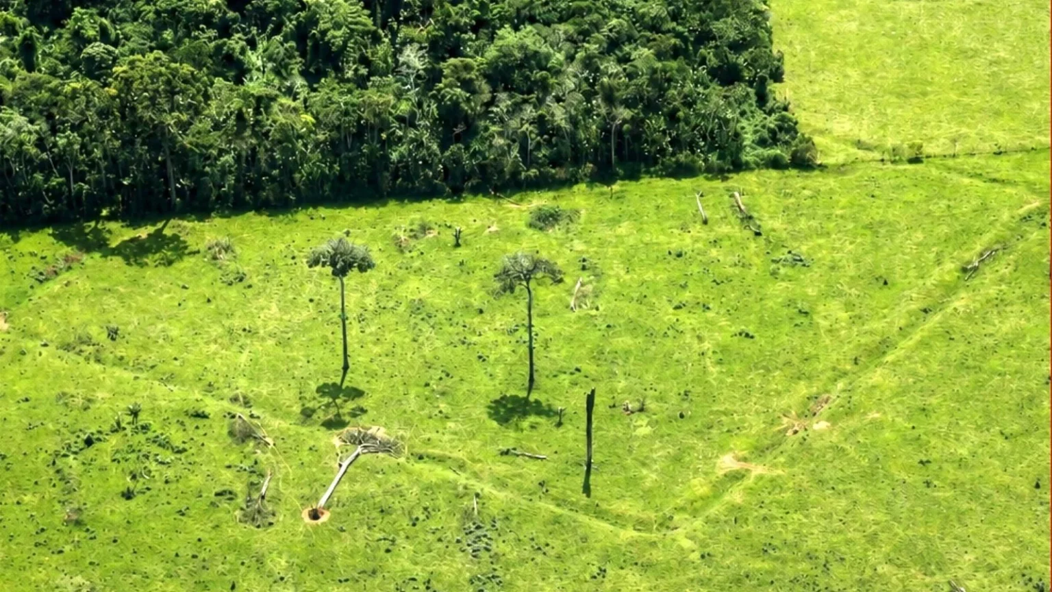 Quase 400 Novos Geoglifos São Descobertos em Sobrevoos no Acre e Região Amazônica