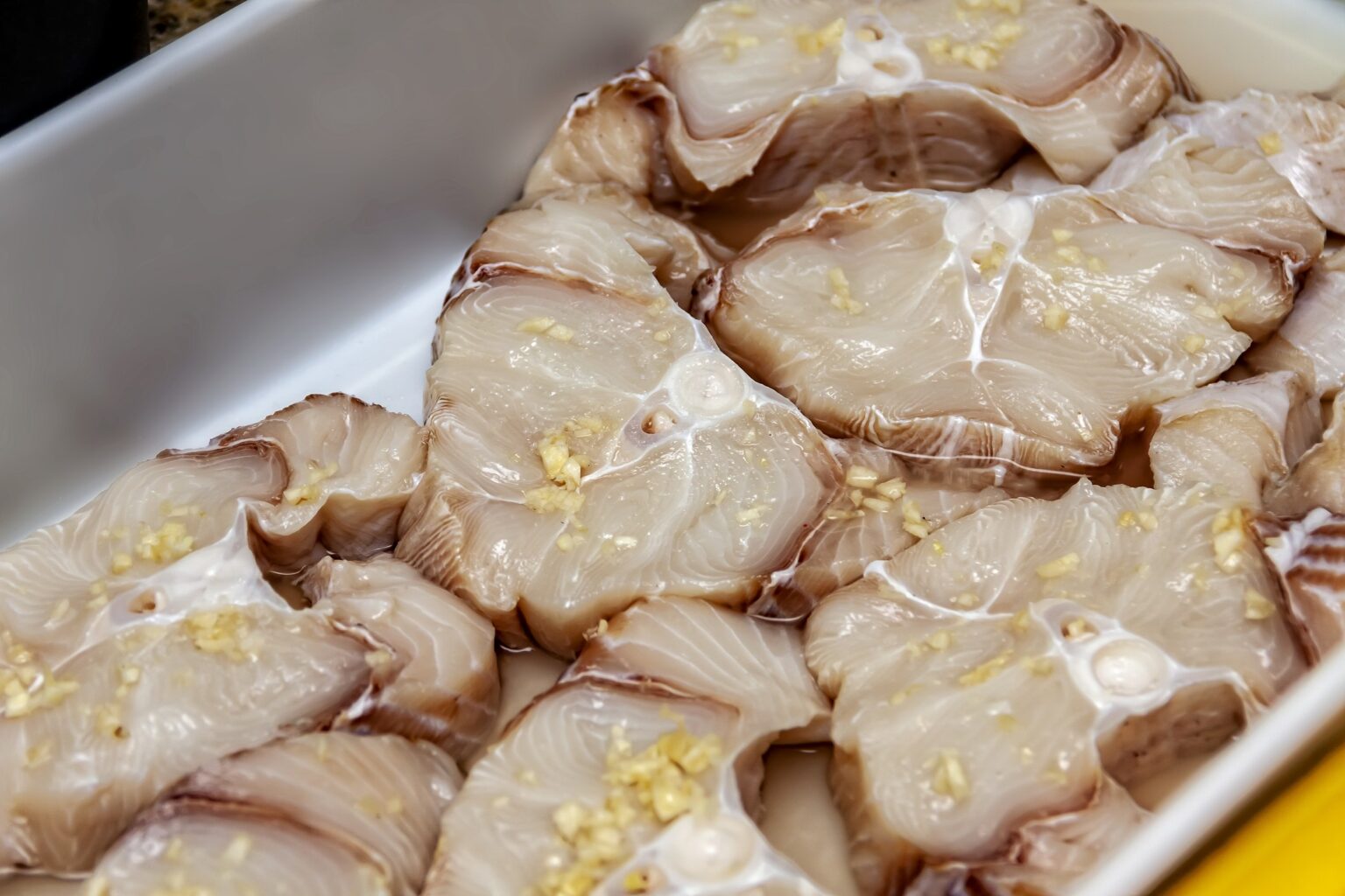 Carne de Tubarão Proibida na Merenda Escolar do Rio de Janeiro: Entenda a Decisão Carne de Tubarão Proibida na Merenda Escolar do Rio de Janeiro: Entenda a Decisão