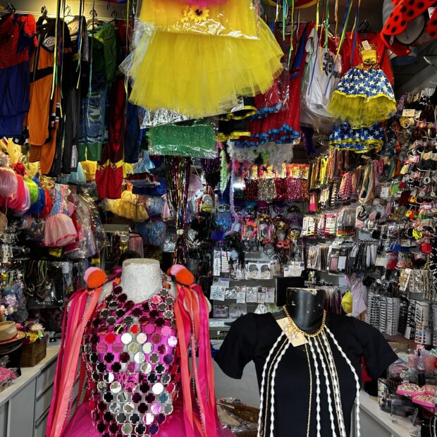 Carnaval 2026: Oportunidades e Inclusão Social na Economia Brasileira Carnaval 2026: Oportunidades e Inclusão Social na Economia Brasileira