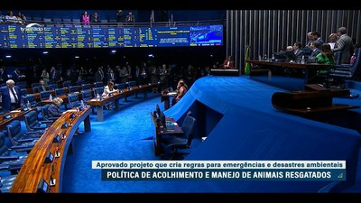 Senado Aprova Medida para Resgate de Animais em Desastres Naturais