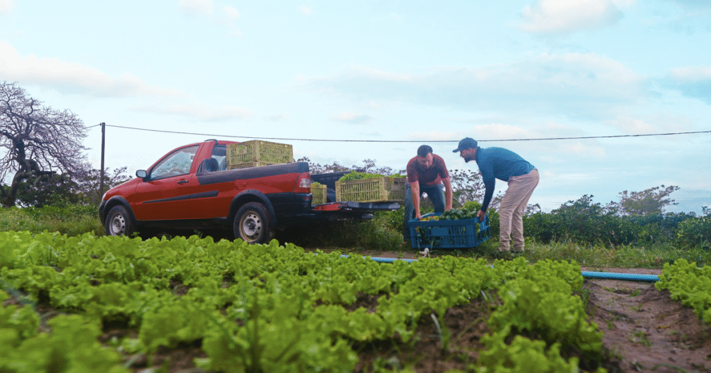 Alagoas recebe reunião da Câmara Temática da Agricultura Familiar do Consórcio Nordeste em 2026 Alagoas recebe reunião da Câmara Temática da Agricultura Familiar do Consórcio Nordeste em 2026