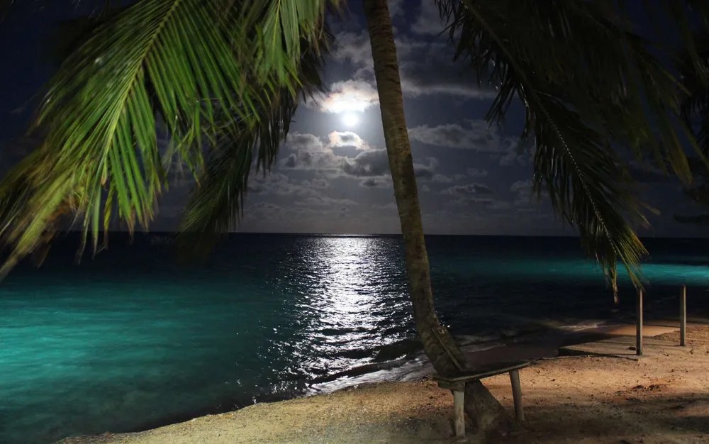 Janeiro Branco 2026 Ilumina a Orla de Maceió pela Saúde Mental Janeiro Branco 2026 Ilumina a Orla de Maceió pela Saúde Mental