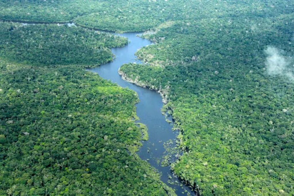 Chuva da Amazônia: Um Tesouro Valorado em Mais de R$ 100 Bilhões Anuais