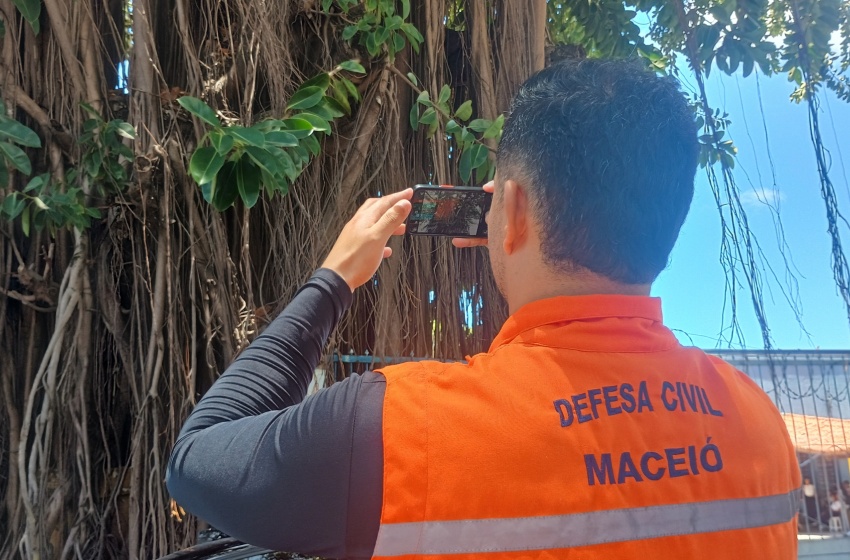 Defesa Civil de Maceió Avalia Saúde das Árvores em Praças da Cidade Defesa Civil de Maceió Avalia Saúde das Árvores em Praças da Cidade