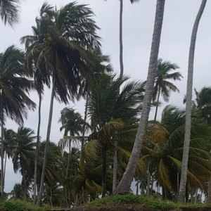Domingo Instável em Alagoas: Previsão de Chuvas e Calor Domingo Instável em Alagoas: Previsão de Chuvas e Calor