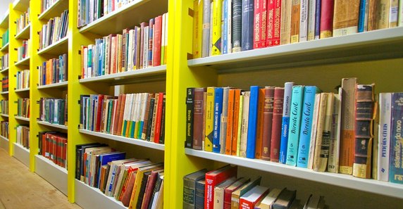 Cerca de 70% das Cidades de Alagoas Carecem de Incentivos à Leitura Cerca de 70% das Cidades de Alagoas Carecem de Incentivos à Leitura