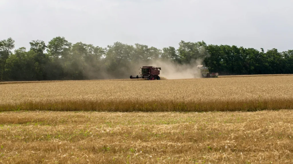Crédito Rural Avança R$ 28,2 Bi no Início da Safra e Pode Fortalecer Produtores de Alagoas