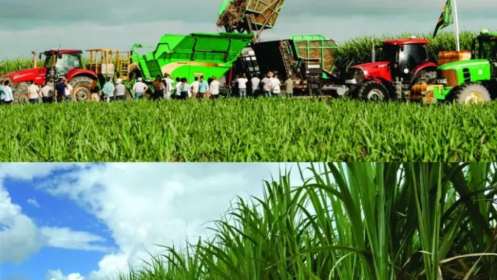 Vulcano Agrominerais destaca tecnologia de remineralização no Alagoas Cana Show