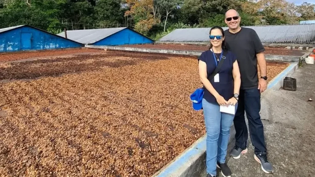 Inovações do Sul da Bahia impulsionam projeto de Café e Cacau em Alagoas