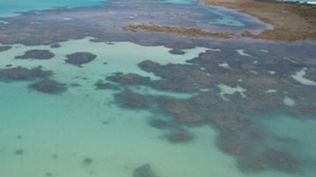 Pesquisa Nacional de Turismo ouve visitantes em Maceió e Japaratinga para traçar perfil completo Pesquisa Nacional de Turismo ouve visitantes em Maceió e Japaratinga para traçar perfil completo