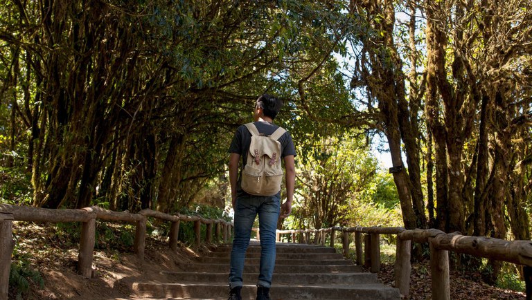 Ministério do Turismo Impulsiona Ações em Parques Nacionais para Fomentar Turismo Sustentável Imagem do artigo