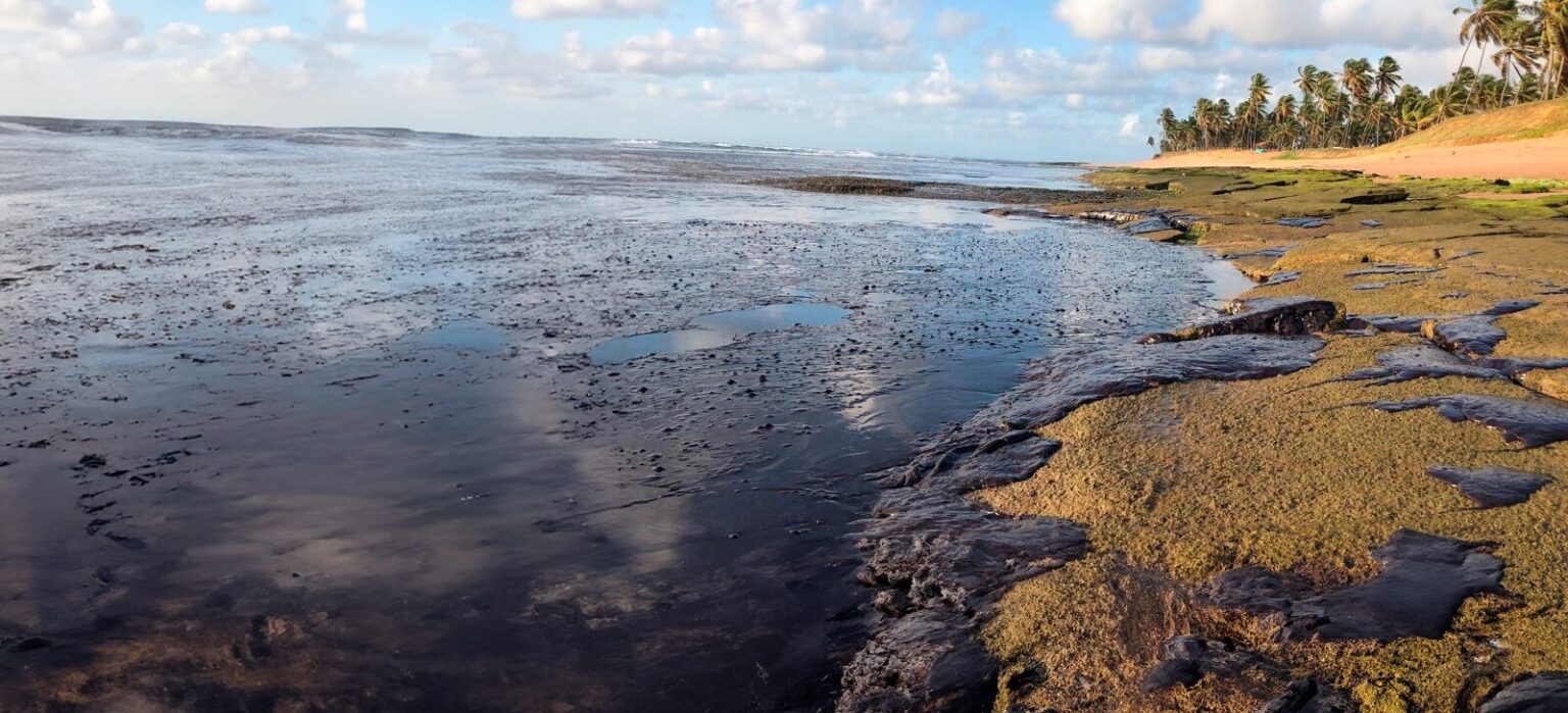 Ameaça à Biodiversidade: Exploração de Petróleo no Amapá em Debate Imagem do artigo