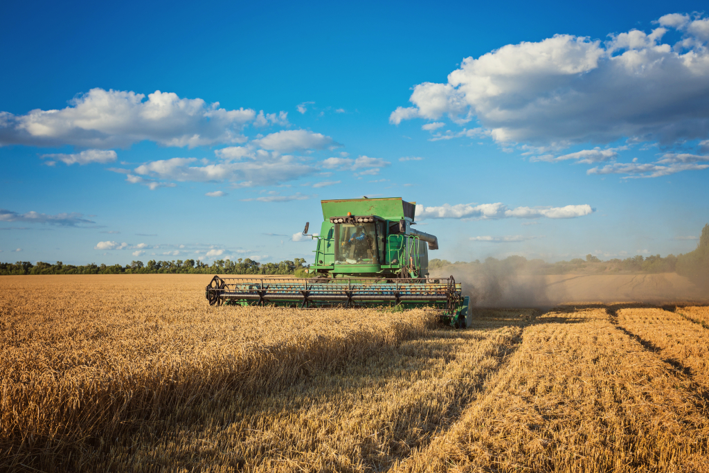 Agronegócio Brasileiro: Recordes de Produção e Expansão Internacional em 2025