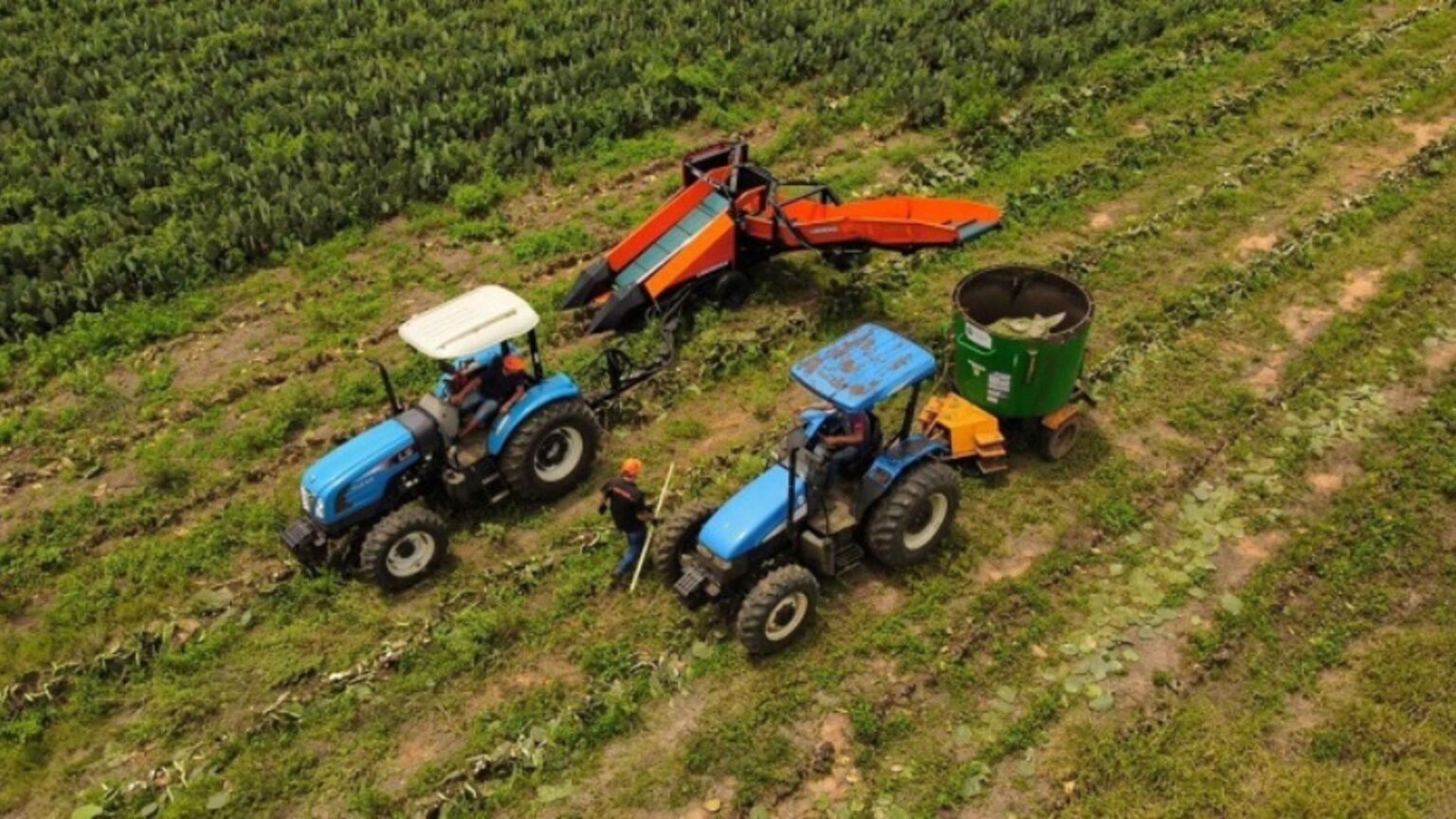 Pedidos de Recuperação Judicial no Agronegócio Atingem Níveis Recordes em 2025 Imagem do artigo