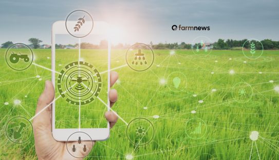 Estruturar Dados: A Chave para Sucesso da IA no Agronegócio