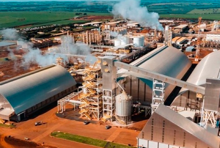 São Martinho Conclui Safra 2025/26 Com Moagem de 21,67 Milhões de Toneladas de Cana