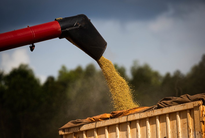 AgRural Eleva Projeções: Safra Recorde de Soja e Milho no Brasil em 2025/26