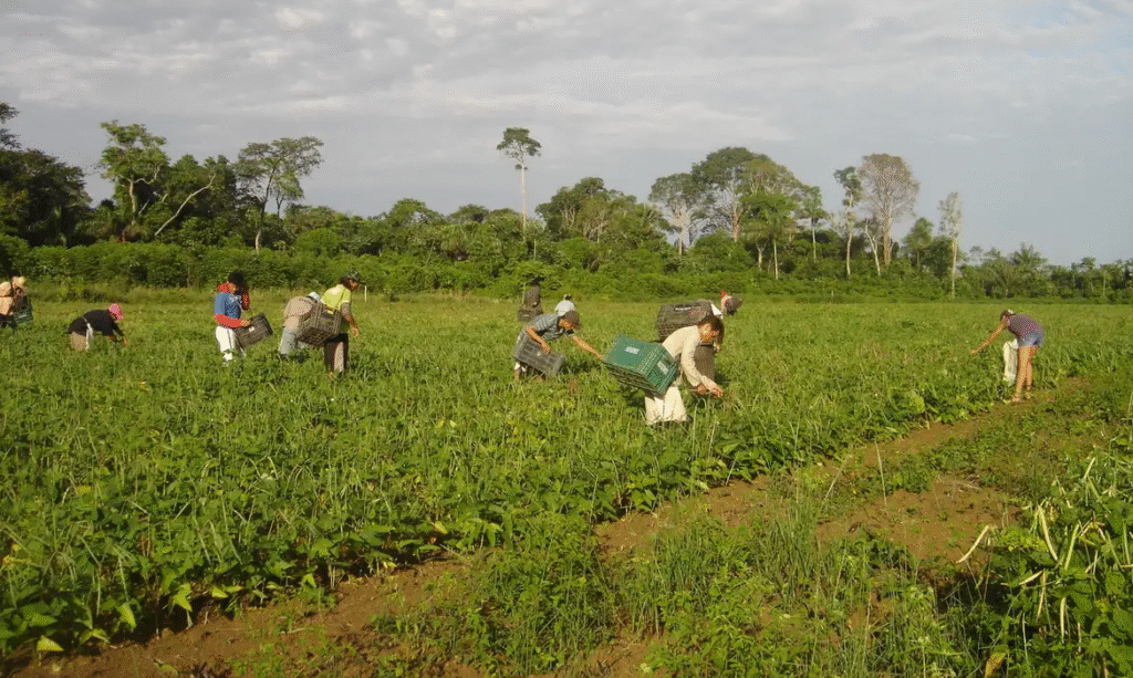 Desenrola Rural: 440 Mil Acordos e R$ 20 Bilhões em Dívidas Renegociadas