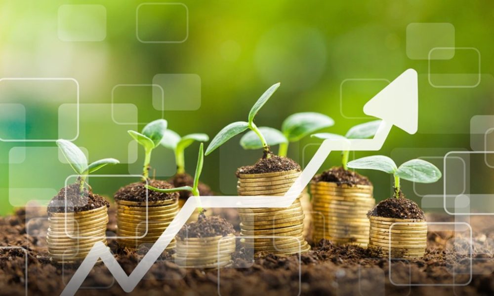 Dólar em Queda e Juros Altos: A Dificuldade do Agronegócio em 2024 Dólar em Queda e Juros Altos: A Dificuldade do Agronegócio em 2024