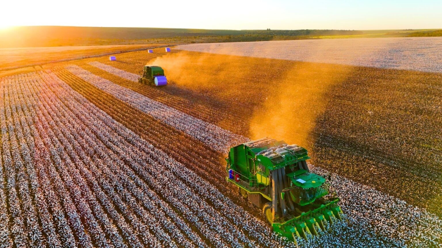 Natter Anuncia 27 Vagas de Emprego em Mato Grosso: Oportunidades no Agronegócio
