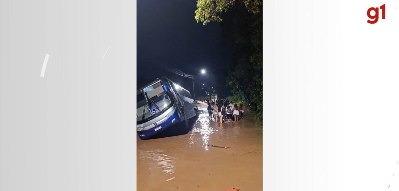 Ônibus de Turismo Sai da Pista em Itajaí: Detalhes do Acidente na Véspera do Ano-Novo
