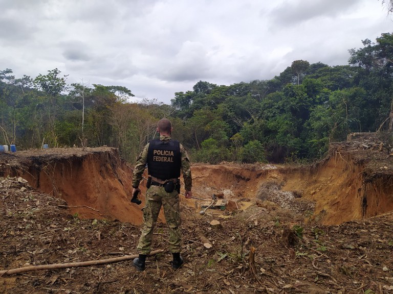Operação Raiz Pública: Polícia Federal Combate Crimes Ambientais no Amapá