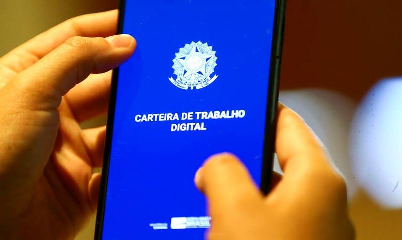 Piauí: Destaque no Nordeste com Salário Médio e Crescimento de Empregos