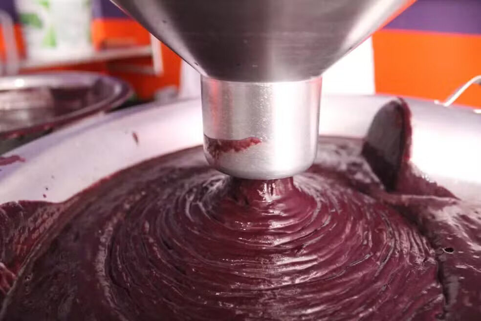 Chuvas Afetam Colheita e Reduzem em 40% Oferta de Açaí no Amapá