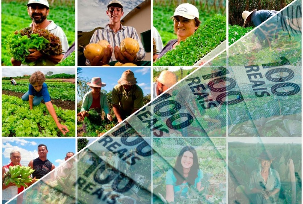 Conab Revela Novos Descontos do Pronaf em Fevereiro; Confira os Produtos e Descontos por Estado