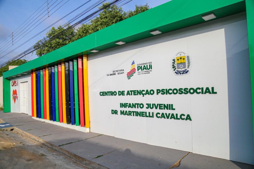 Governo do Piauí: Orientações para Acesso a Serviços de Saúde Mental Governo do Piauí: Orientações para Acesso a Serviços de Saúde Mental