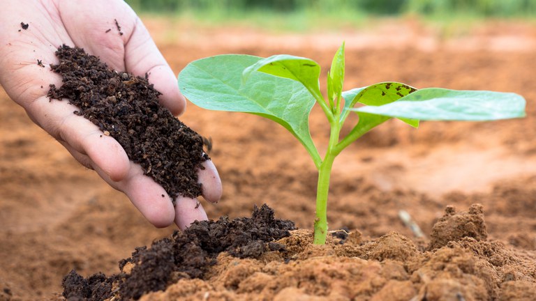 O Paradoxo do Agro Brasileiro: Entenda a Dualidade do Setor