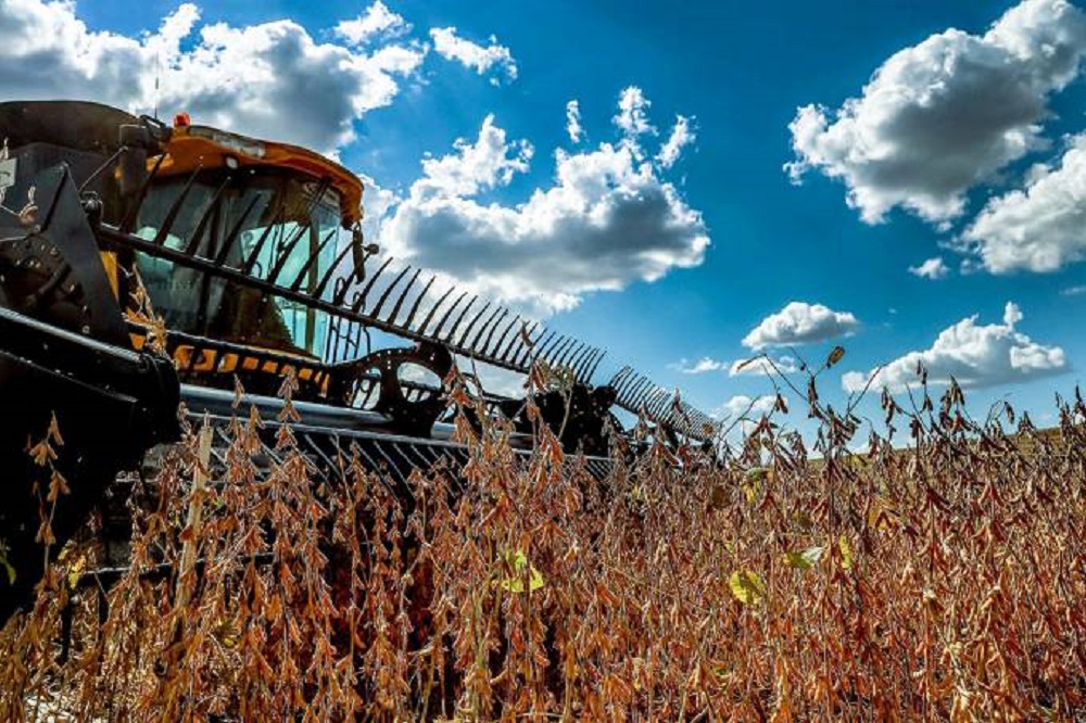 Senado Aprova Liberação de R$ 83,5 Milhões para Combate a Pragas Agropecuárias