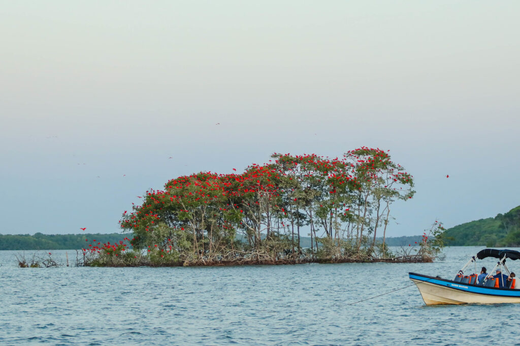 Turismo no Piauí Impulsa 83% de Crescimento em Empregos até 2025