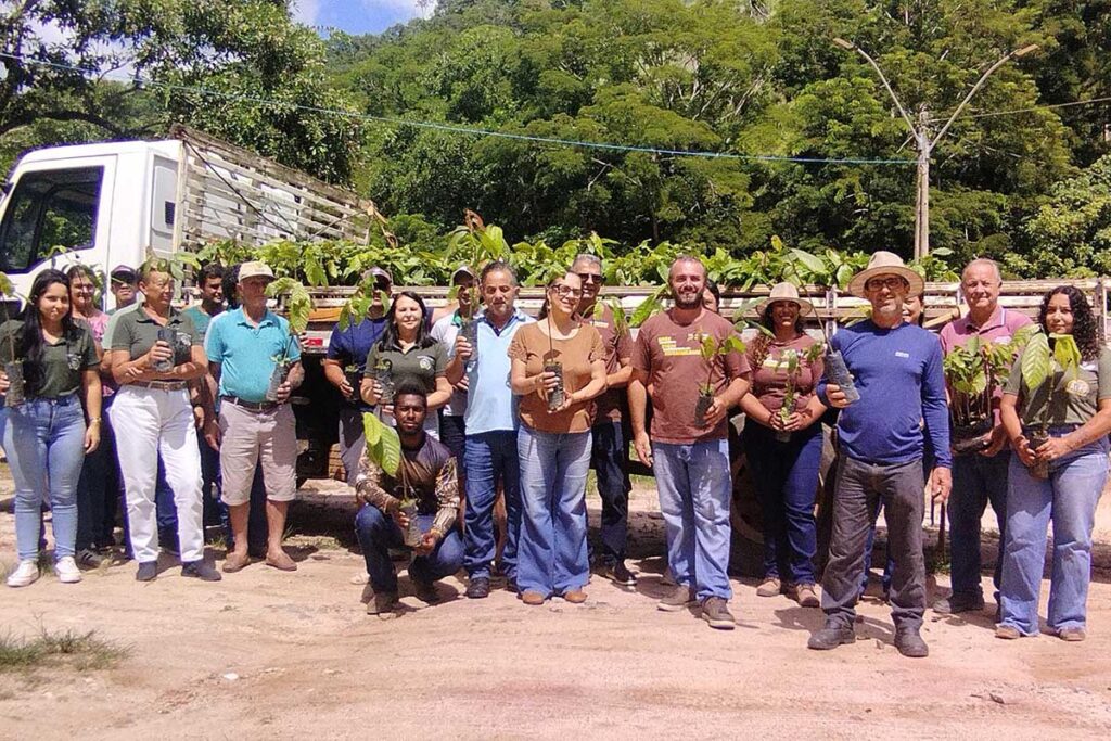 Cacau em Conceição do Castelo: 3 mil Mudas Entregues a Produtores Rurais Cacau em Conceição do Castelo: 3 mil Mudas Entregues a Produtores Rurais