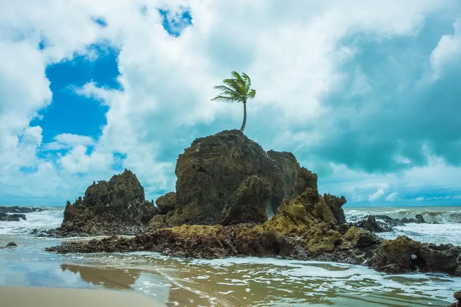 Celebração do Dia do Turismo Ecológico: A Importância da Sustentabilidade na UFPB