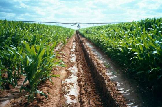 Governo de SP Apresenta Projeto para Fortalecer o Fundo do Agronegócio Governo de SP Apresenta Projeto para Fortalecer o Fundo do Agronegócio